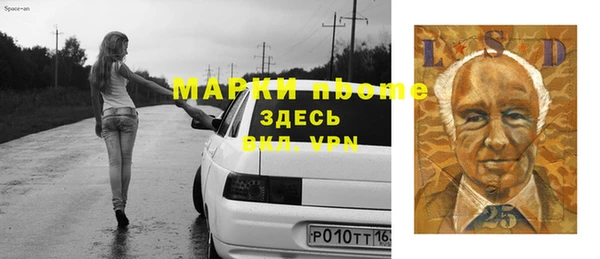 мдпв Горнозаводск