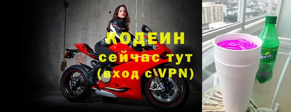 мдпв Горнозаводск