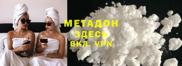 прущие грибы Вязьма