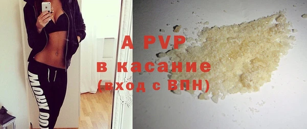 прущие грибы Вязьма