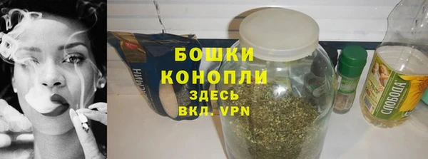 ГАЛЛЮЦИНОГЕННЫЕ ГРИБЫ Горно-Алтайск