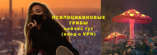 дурь Вяземский