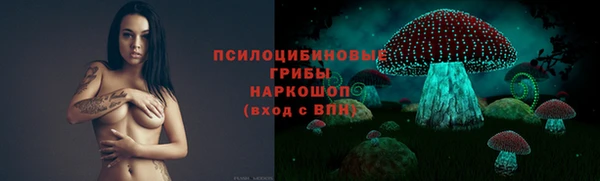 дурь Вяземский