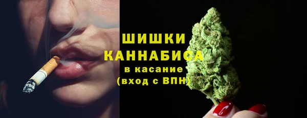 ГАЛЛЮЦИНОГЕННЫЕ ГРИБЫ Горно-Алтайск