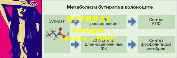 прущие грибы Вязьма