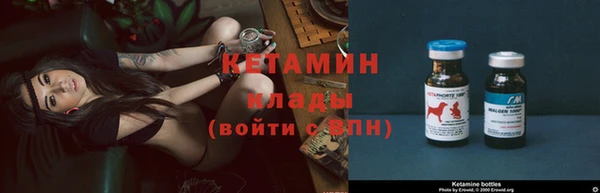 прущие грибы Вязьма