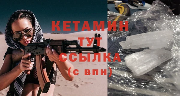 прущие грибы Вязьма