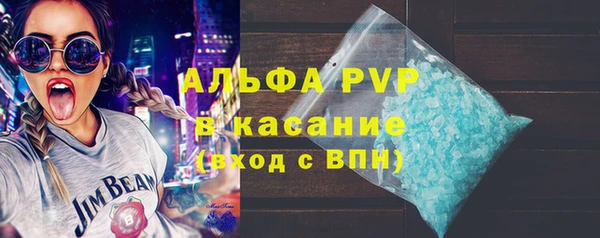 прущие грибы Вязьма