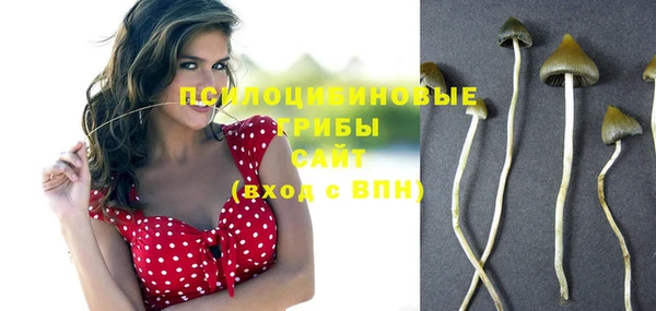 ГАЛЛЮЦИНОГЕННЫЕ ГРИБЫ Горно-Алтайск