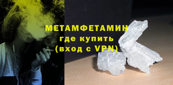 прущие грибы Вязьма