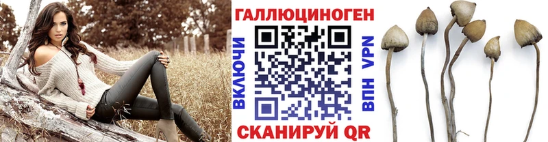 Псилоцибиновые грибы мухоморы  Купить закладки  Качканар 