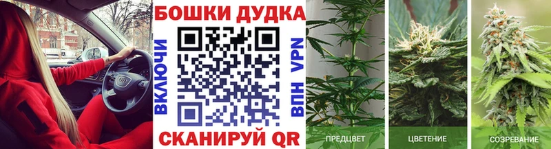 Бошки Шишки AK-47  Купить где  Качканар 